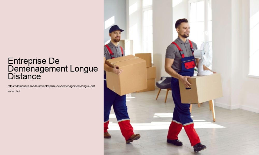 Entreprise De Demenagement Longue Distance